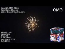 Load and play video in Gallery viewer, OMG-B024 16 shot Shooter 200 Grams Cakes Fireworks
