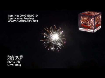 OMG New Design EUO210 100 shots FEARLESS Cakes Fireworks