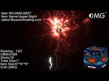 Load and play video in Gallery viewer, OMG-B027 16 shot Vegas Night 200 Grams Cakes Fireworks
